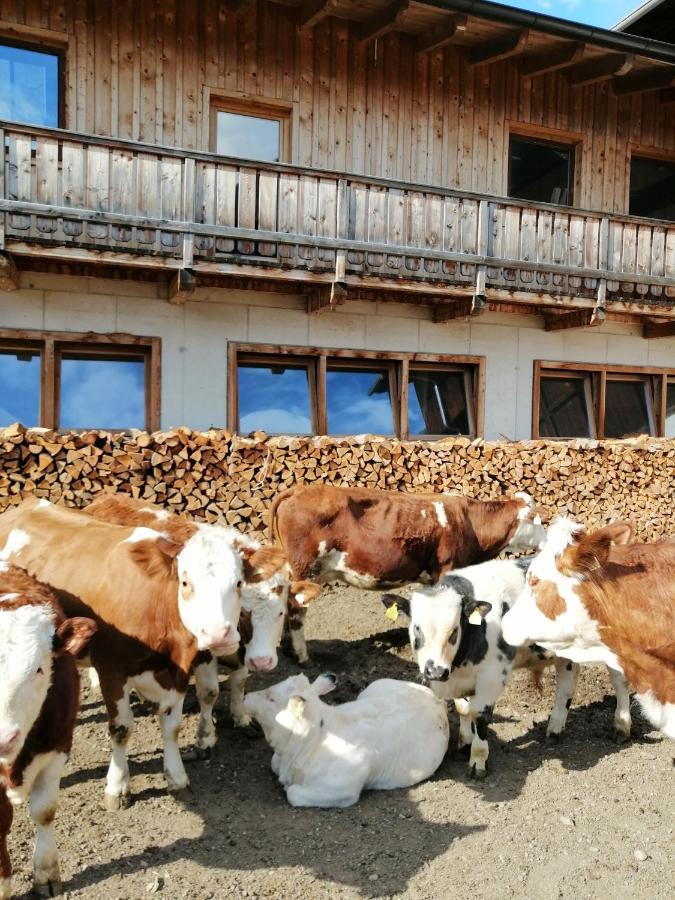 Ferienwohnungen Niederarnigerhof Familie Bauernfeind Кальс-ам-Гросглоккнер Экстерьер фото