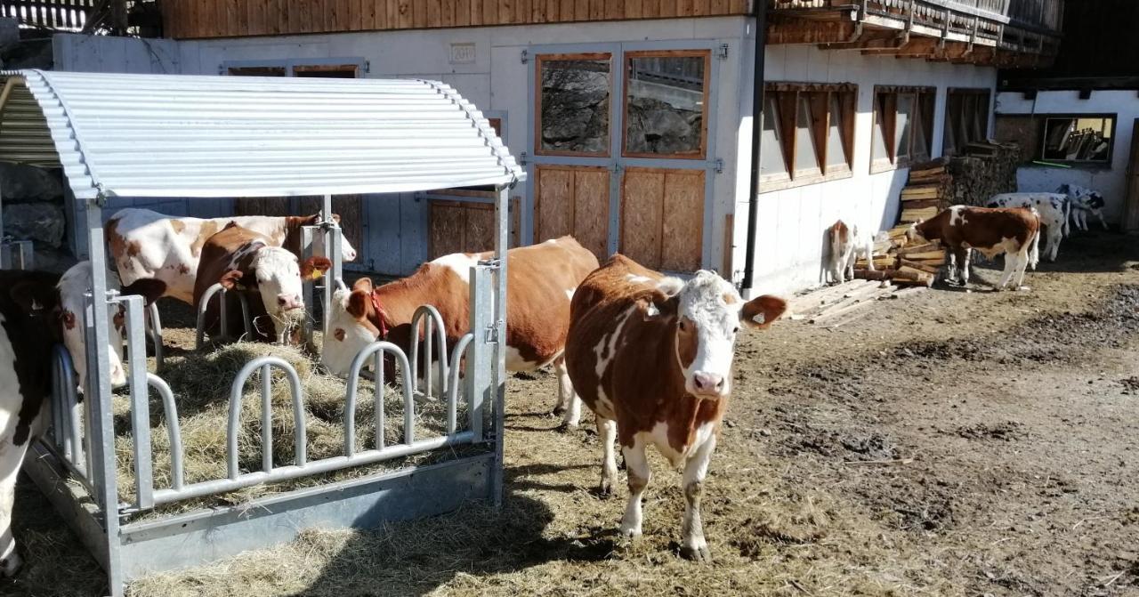 Ferienwohnungen Niederarnigerhof Familie Bauernfeind Кальс-ам-Гросглоккнер Экстерьер фото