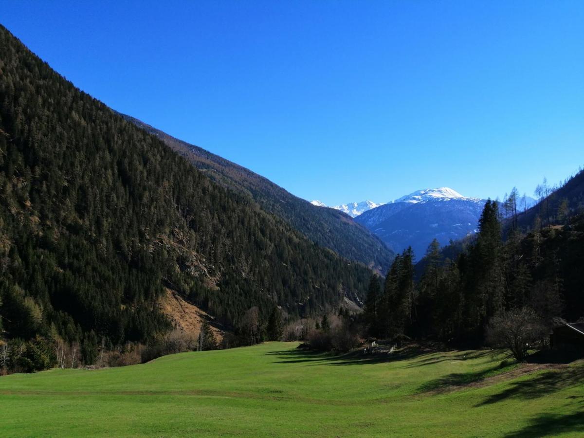 Ferienwohnungen Niederarnigerhof Familie Bauernfeind Кальс-ам-Гросглоккнер Экстерьер фото