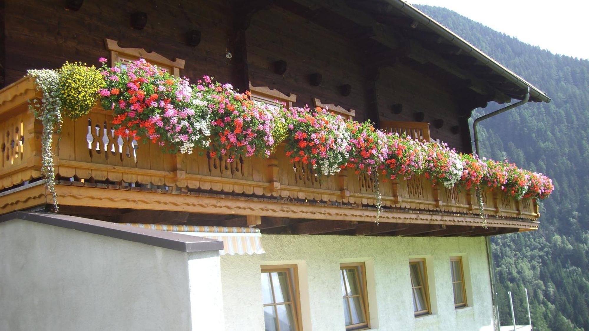 Ferienwohnungen Niederarnigerhof Familie Bauernfeind Кальс-ам-Гросглоккнер Экстерьер фото